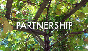 ECCC-Partnership-featured