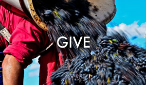 Give-featured