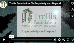 Video: 10 Years of Discipleship to Perpetuity and Beyond!